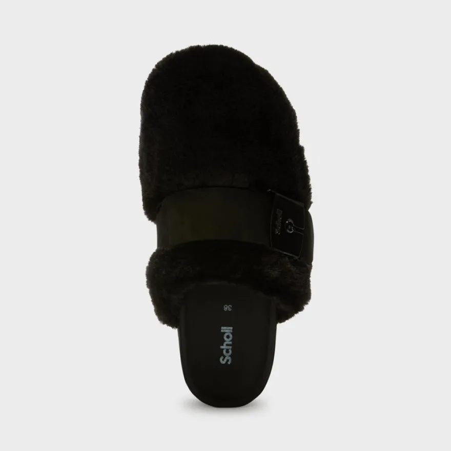 alaska 3.0