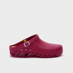 clog evo