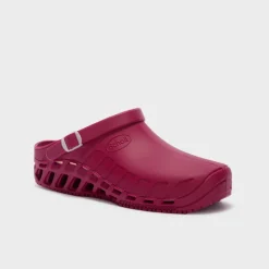 clog evo
