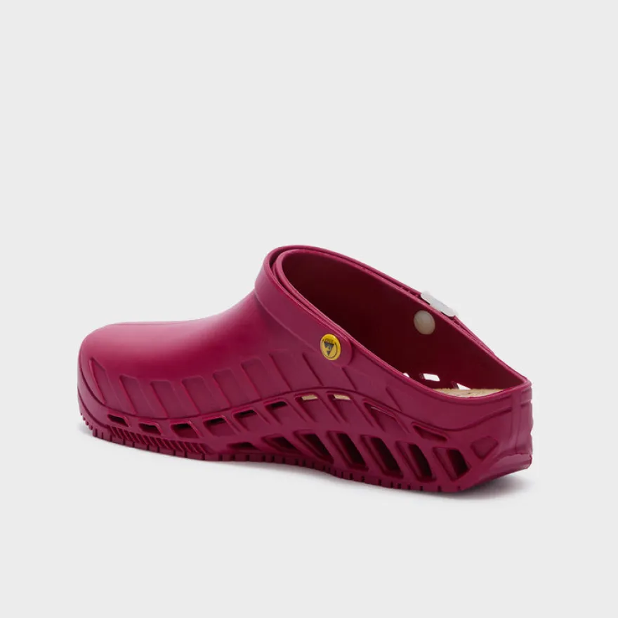 clog evo
