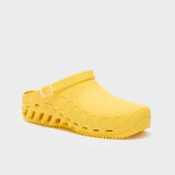 clog evo