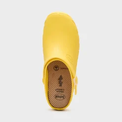 clog evo