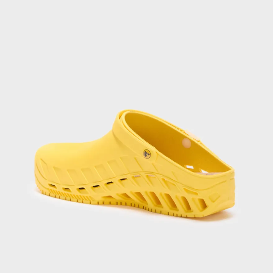 clog evo