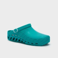 clog evo