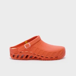 clog evo