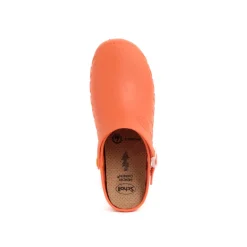 clog evo anatomic antistatic insoles