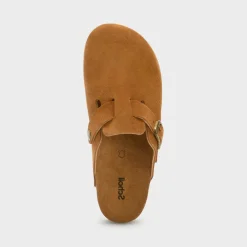 fae