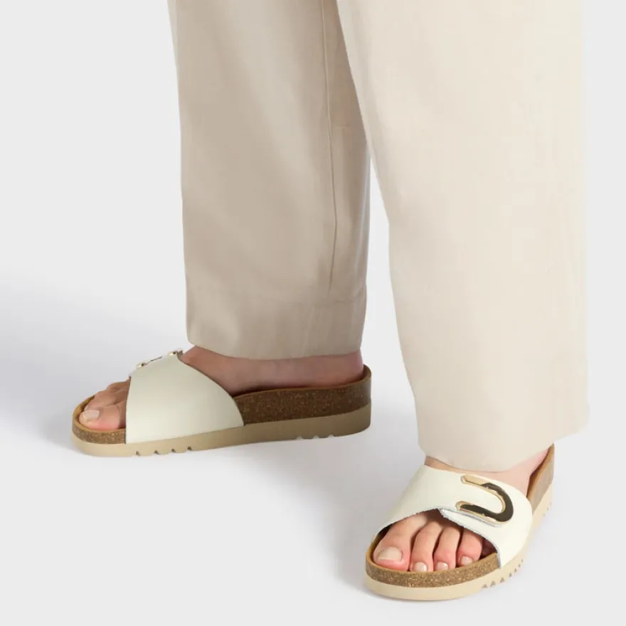monterey mule