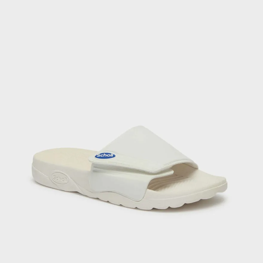 scholl nautilus