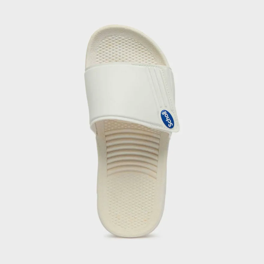 scholl nautilus