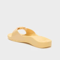 scholl sun