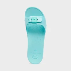 scholl sun
