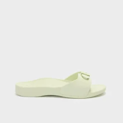 scholl sun