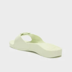 scholl sun