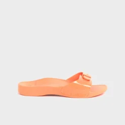 scholl sun