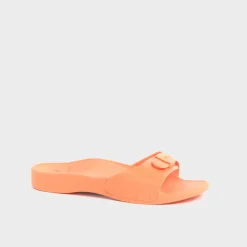 scholl sun