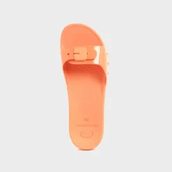 scholl sun