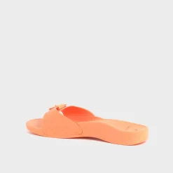 scholl sun