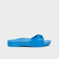 scholl sun