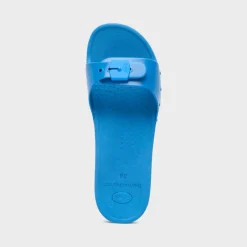 scholl sun