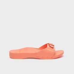 scholl sun