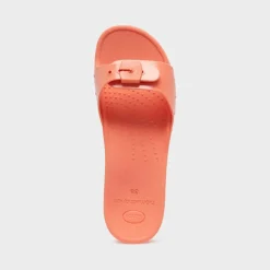 scholl sun