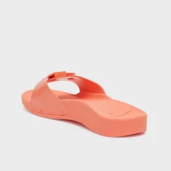 scholl sun
