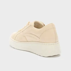 urban elastic