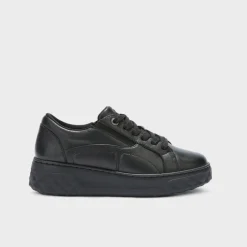 urban elastic
