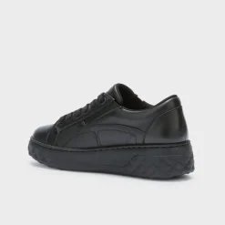 urban elastic