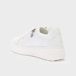 urban zip