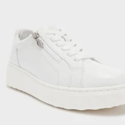 urban zip